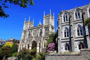 夢想照進現實 在新西蘭學習動漫技術開發，踏上成為下一個宮崎駿的旅程